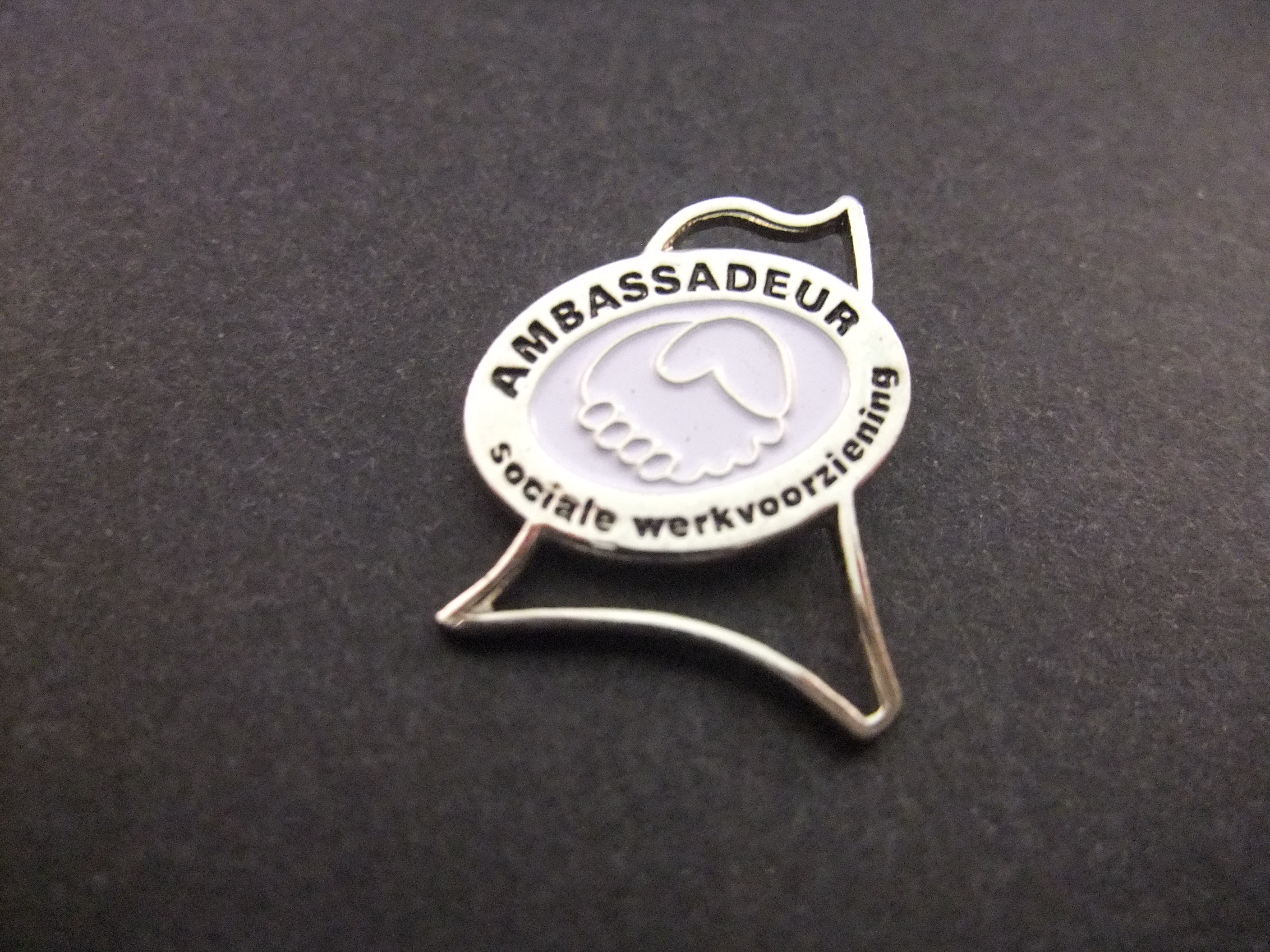 Ambassadeur sociale werkvoorziening Haeghe Groep Den Haag